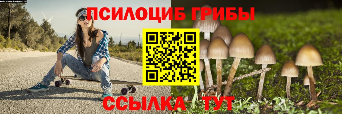 Шелехов  Галлюциногенные грибы мицелий  Вход с VPN 