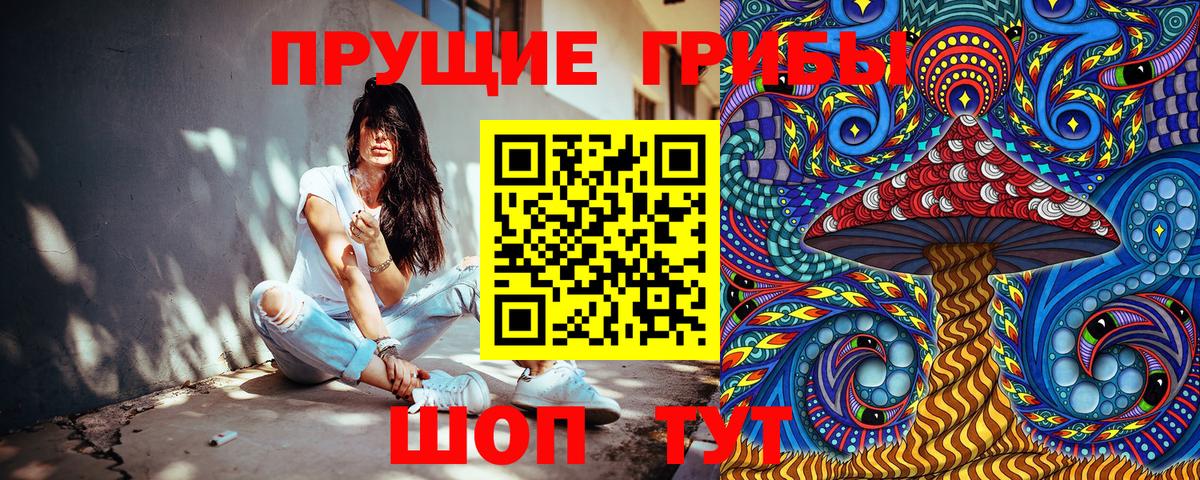 Галлюциногенные грибы GOLDEN TEACHER Шелехов